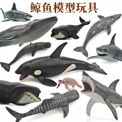 Simulation of marine animal toys seabed biological world model great white shark fish killer whale blue whale Children Baby cognition