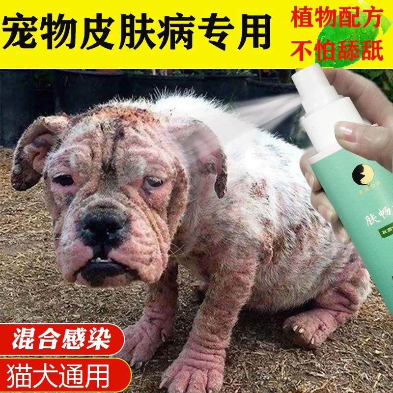 Psoriaspray dog skin liquid dog dog spray dog dog dog dog dog dog dog dog dog dog dog fungal skin spray