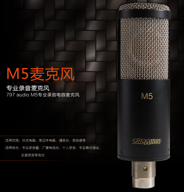 Beijing 797Audio M5 professional recording large diaphragm vocal condenser microphone dubbing K song live microphone