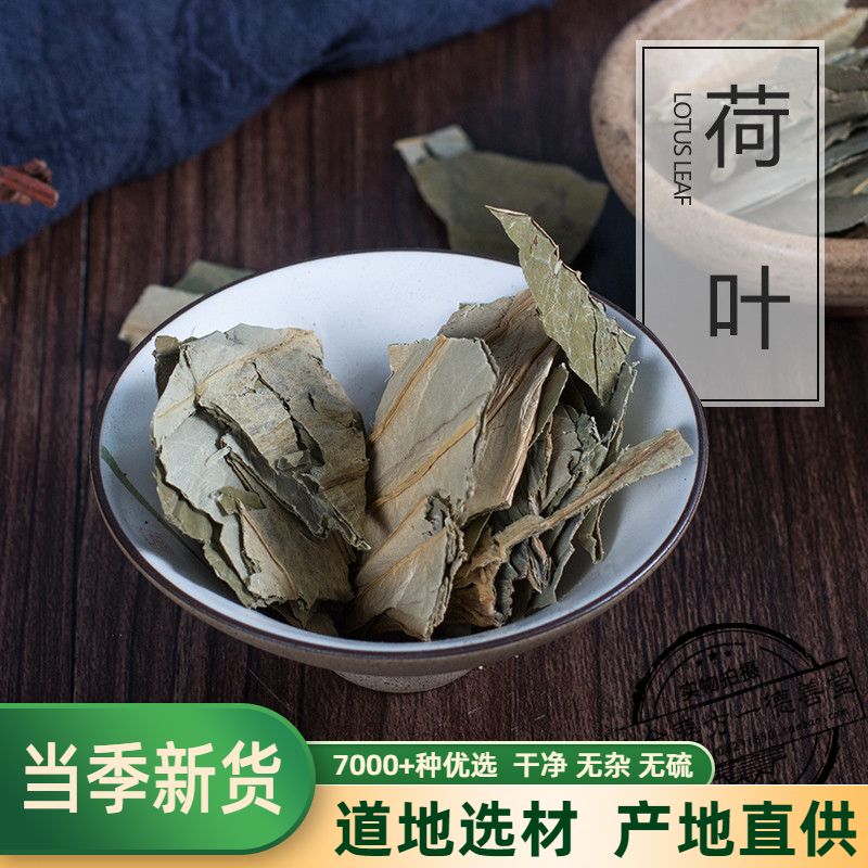 Chinese medicine - based herb tea 500 micro - mountain lake dry - lotus tea leaf blade