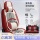 Подушка для автокресла four seasons универсальная летняя подушка ice silk cool, полностью закрывающая чехол для автокресла, летняя специальная подушка для автокресла mini 3