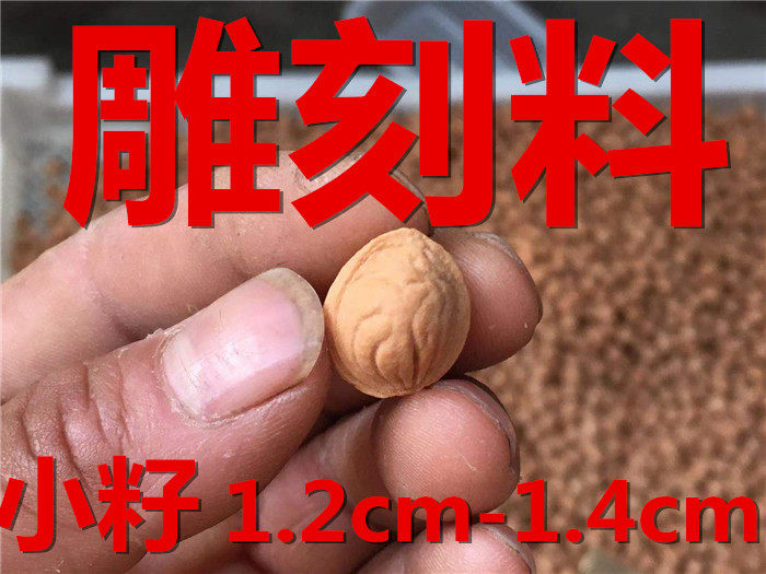Qinling wild peach core shallow carving material small seed 1.2 peach core 1.4 peach walnut micro-carving hand string Buddha pearl bead raw material