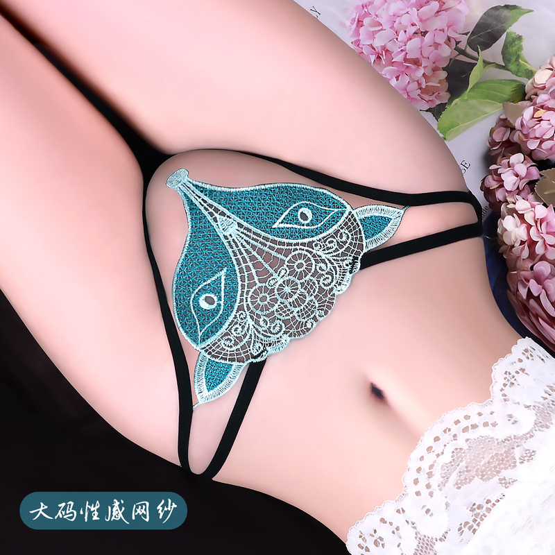 Sexy Lace Panties for Women 2026 New Low-Waist Hollow Mesh Thin Breathable Fox Embroidery Large Size Briefs Sexy Lace Panties for Women 2026 New Low-Waist Hollow Mesh Thin Breathable Fox Embroidery Large Size Briefs