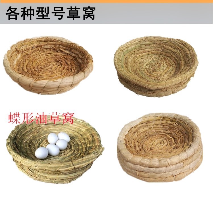 Chăn nuôi cá rô tổ yến tổ chim vườn chim bồ câu khái niệm thủ công mỹ nghệ cung cấp Daquan lưới trang trí tường - Chim & Chăm sóc chim Supplies cám cho chim