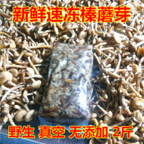 Changbai Mountain fresh wild hazelnut mushroom buds 2kg without adding non-salted mushrooms should be seasonal fresh and frozen