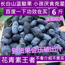 Changbai Mountain fresh Indigo mountain eggplant sheep milk black blind fruit fruit 6kg per barrel will be juice non Blueberry