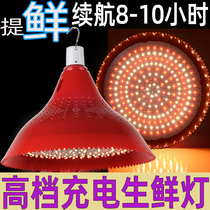  Rechargeable LED fruit light Fresh pork light Night market stall special cooked food light Market power outage emergency light