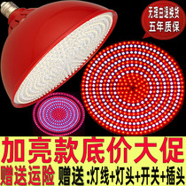  Led fresh light Pork light Seafood light Braised vegetable cooked food light Fruit shop chandelier Supermarket vegetable light super bright special