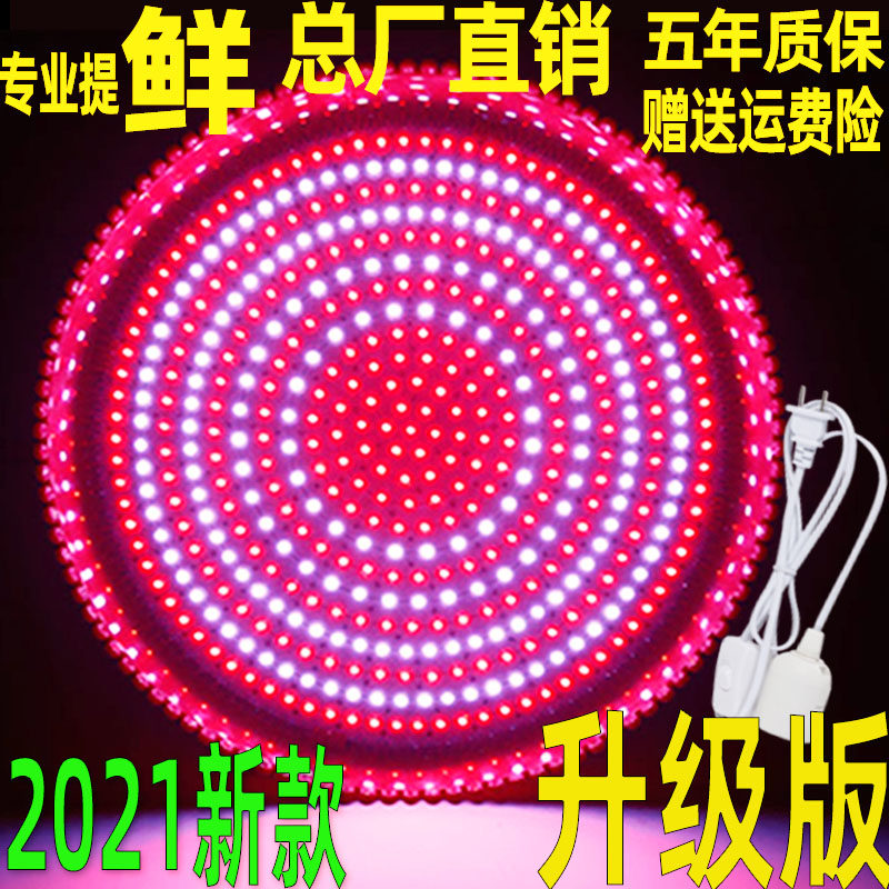 LED fresh lamp pork lamp for delicate lamp for delicacies lamp Supermarket fruit meat fresh meat selling meat lamp