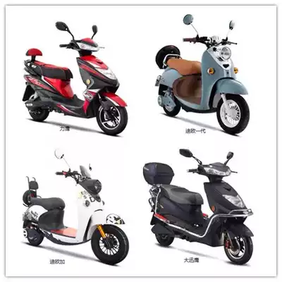 Emma electric car Liying Diojia Diodai Daxunying custom foot pad leather silk ring car special mat