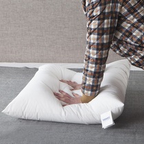 Pillow core 45×45 50*50 Pillow core 60*60 65×65 Bedside sofa square pillow core special offer