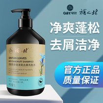 Ginger shampoo proof dedehydration control oil fluffy fixation solid hair for men and women special disclosure washing