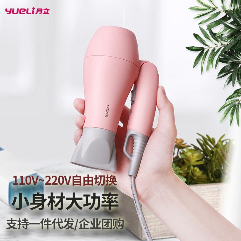 Ins net red with the same 110V-220V dual voltage portable hair dryer to study abroad foldable constant temperature hair dryer