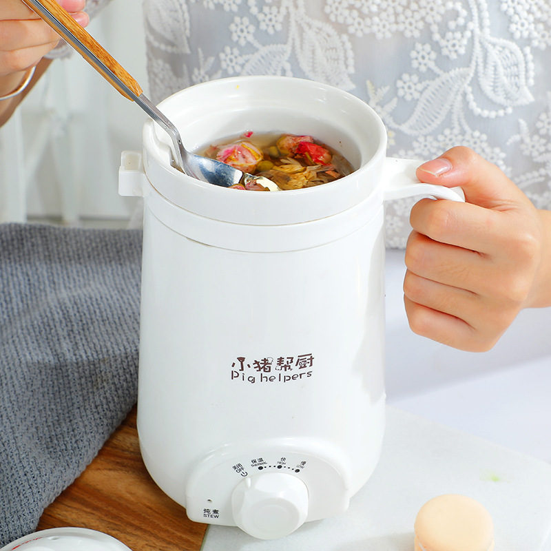 110V Cross-border Mini Electric Stew Cup American Japan Household Health Cup Mini Anti-scalding Portable Heating Cup