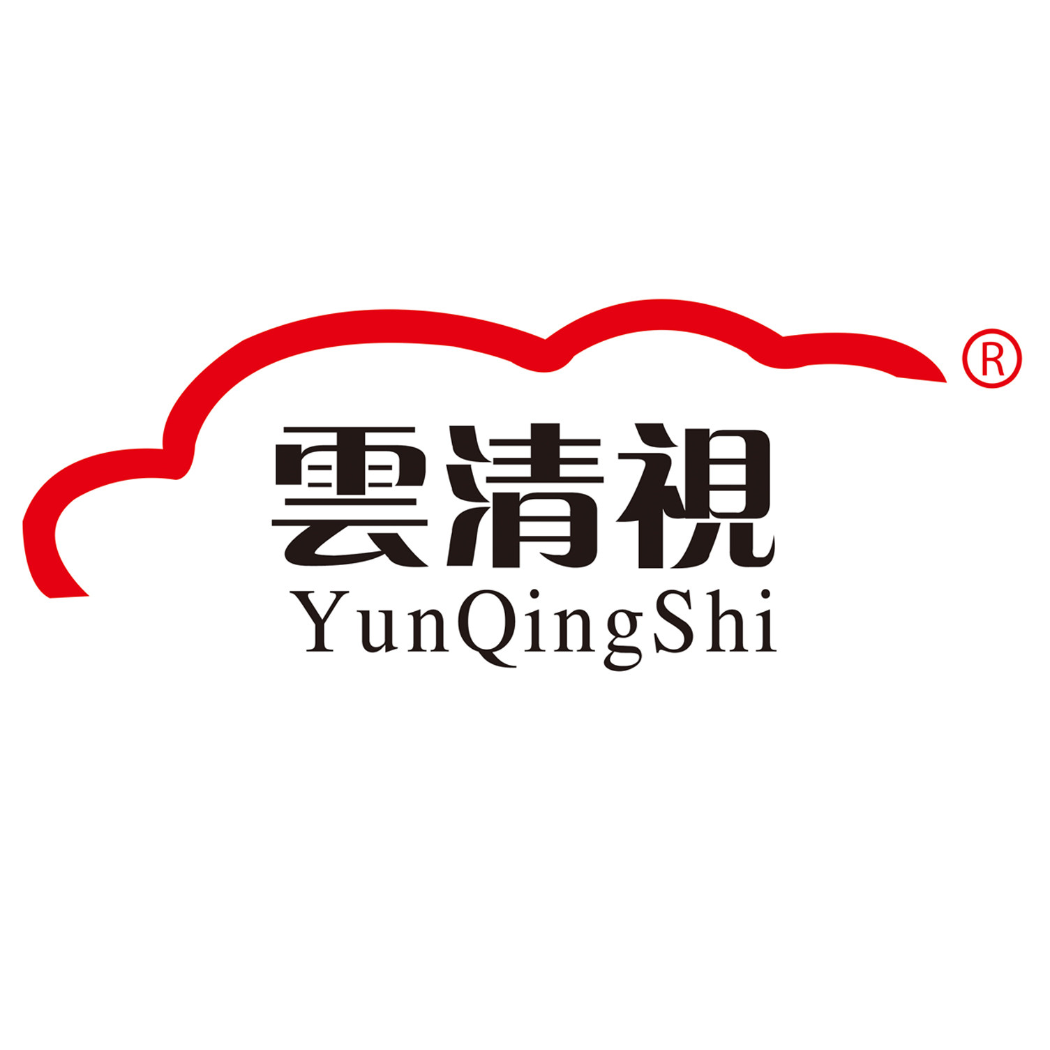 济南中造安防店