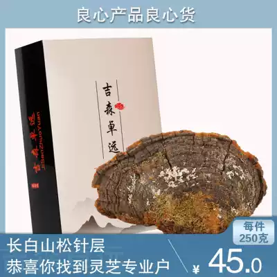 Changbai Mountain pure wild pine needle Ganoderma lucidum pine needle layer hole fungus Linzhi 2 pieces