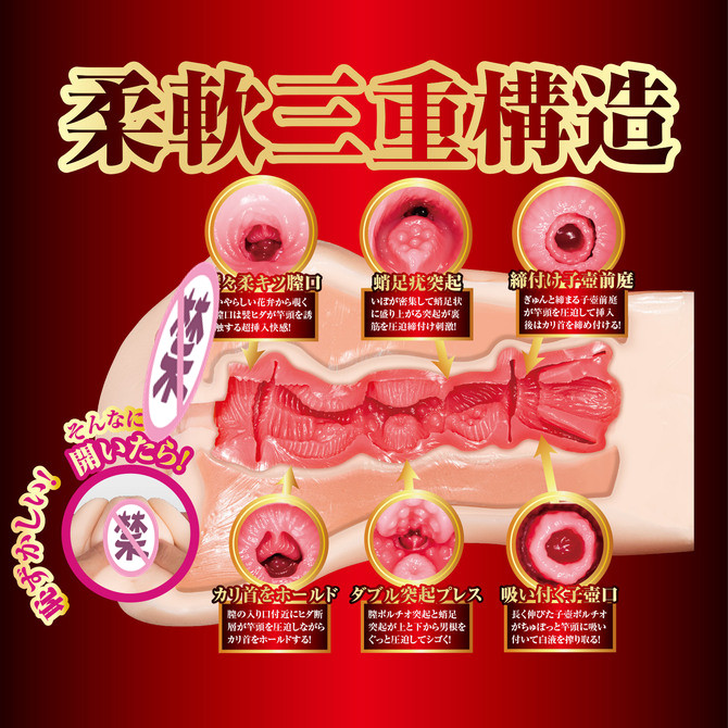 【北美直邮2-3天到货】日本 NPG 荣誉的名器飞机杯 - 新有菜(桥本有菜)