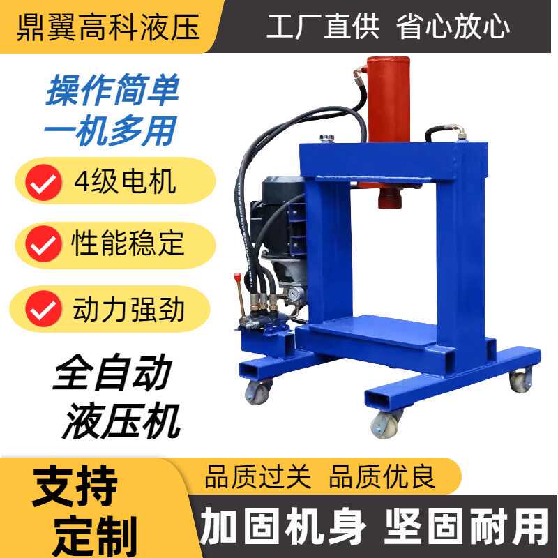 Small Hydraulic Press 30 Tons Multifunctional Electric Gantry Type Copper Dismantling Machine for Dismantling Scrap Electric Motors and Engines