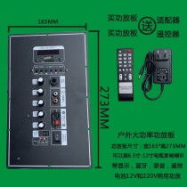 12 inch outdoor square dance audio motherboard 12V battery Bluetooth lever speaker selling machine audio power amplifier board