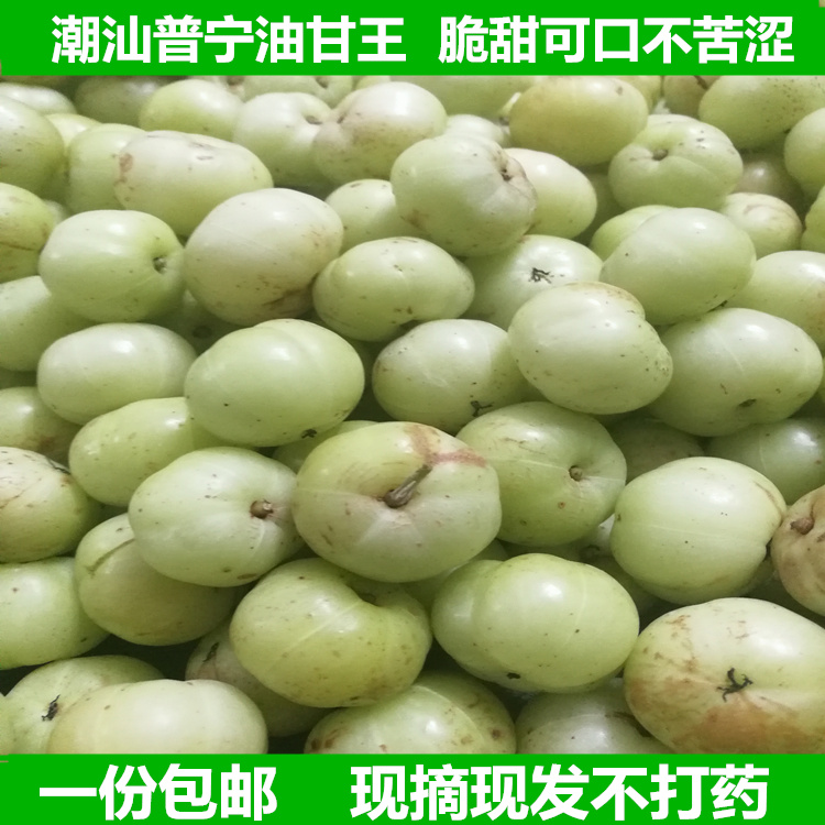 Chaoshan Puning sweet oil sweet fresh oil sweet fruit beef sweet fruit emblica sweet persimmon sweet mandarin 500g