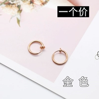 E4-3-29#Модель Золотого Кольца