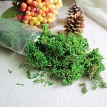 Carolyn Natural boutique Dry moss No obvious impurities Birds nest decoration Wedding home decoration