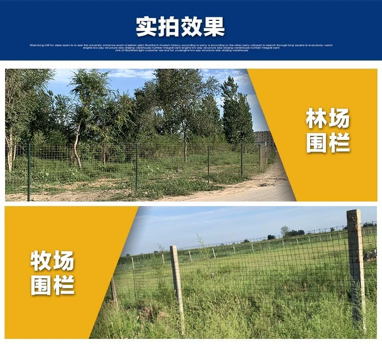 luoi bao che cong trinh Lưới hàng rào thép gai lưới hàng rào sân bóng rổ lưới vườn cây ăn quả lưới gà vịt lưới chăn nuôi hàng rào hàng rào bảo vệ lưới cách ly lưới bao che giàn giáo lưới chống rơi xây dựng