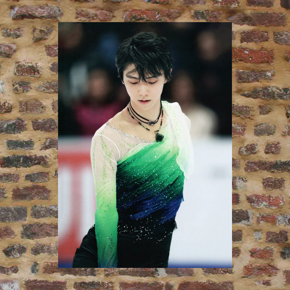 Plume knot posters custom-made ETK328 A total of 298 full 8 photos of A3 photos surrounding plums