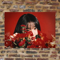 Zhang Yuanying Poster Customized STG056 A total of 999 pieces full of 8 sheets of Baumail Zhangs poster photo wall sticker photo