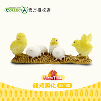 Genuine british collecta me you him chick hatching popular science livestock pet toy model 88480