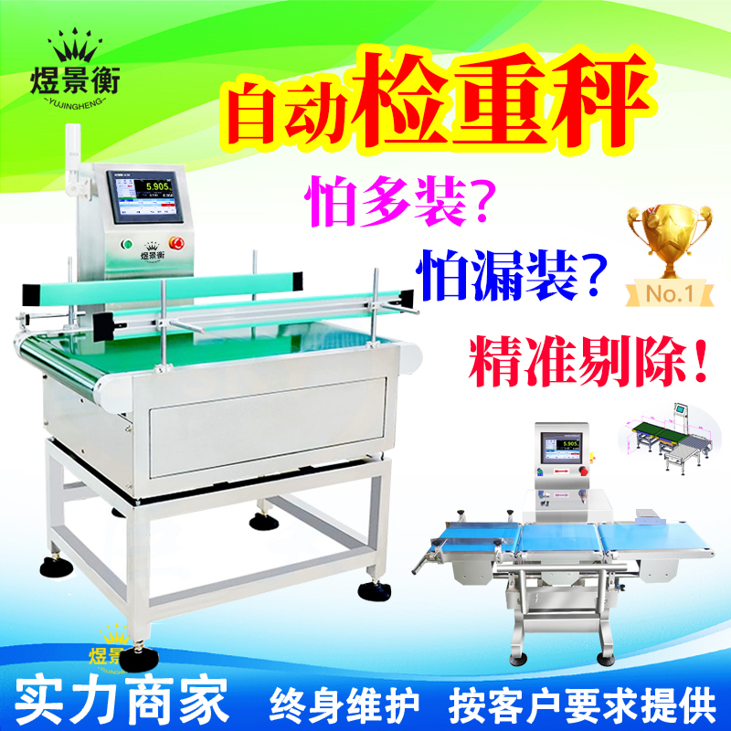 Assembly Line Checkweigher, Power Roller Scale, Online Re-Checkweigher, Weight Inspection Machine, Automatic Sorting and Rejector Weighing Machine