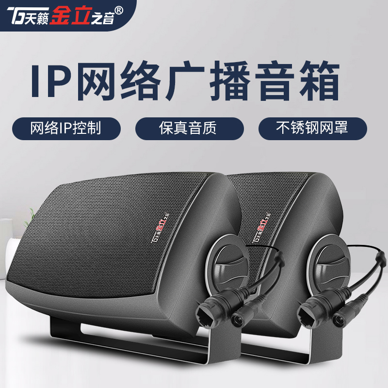 Teana Gionee IP30 network indoor wall-mounted speakers intelligent timing play active audio campus factory park remote intercom public address system background music