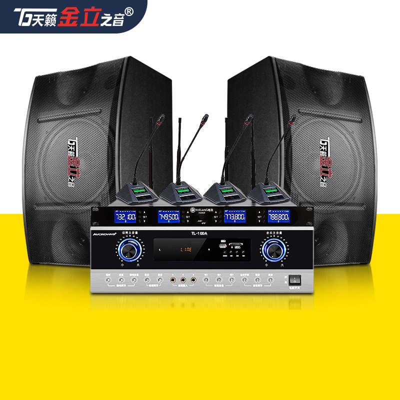 The sound of Tianlai Jinli remote video conference room audio 10 inch wireless microphone equipment set family KTV