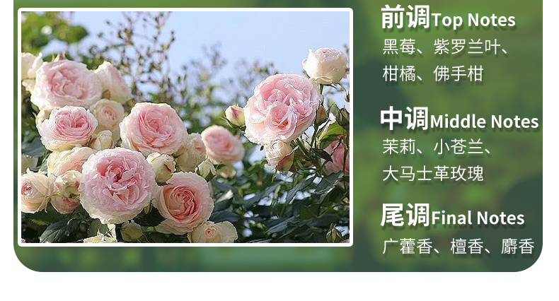 亮荘理发店大桶酒店沐浴露洗发水护发素民宿专用批发洗护持久留香详情23