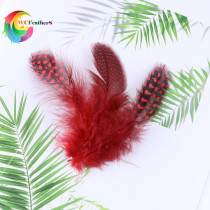  Wenshu factory hot-selling loose hair pearl small feather accessories Decorative accessories DIY handmade childrens handmade materials