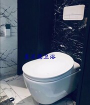 German brand intelligent 560050R1 toilet V02CL601 intelligent cover plate intelligent toilet V03C4001