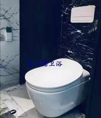 German brand smart 560050R1 toilet V02CL601 smart cover plate smart toilet V03C4001