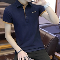 6130 Тибетский Цин