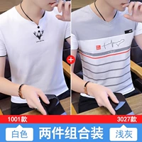 1001 белый +3027 светло -серый