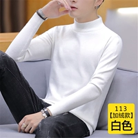 113 белый [холодная зима.