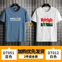 Zn-T051 Blue +012 белый