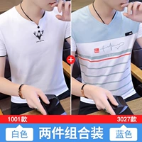 1001 белый +3027 синий