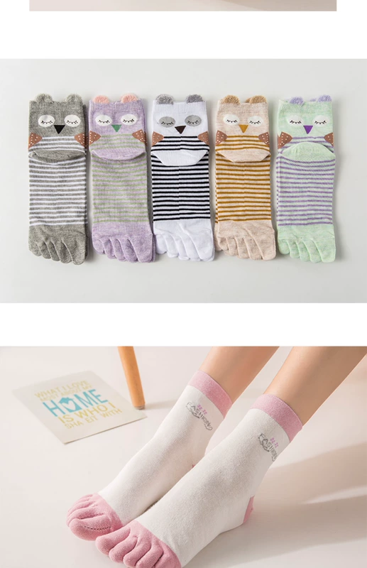 Tất 5 ngón nữ ống cotton mùa xuân, mùa thu và mùa đông, thoáng khí, thấm mồ hôi và chống nấm. - Vớ sợi tre