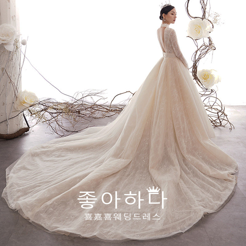 Wedding dress 2021 new long sleeve big tailing tail out of the door yarn 2020 luxury Princess wind main yarn small man cover arm