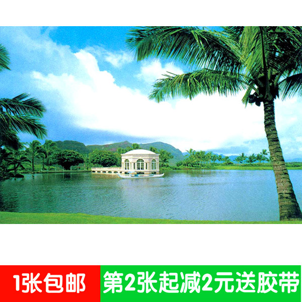 Landscape scenery without glue tree decoration poster painting living room wall sticker 100*150CM sea view coconut tree 1226