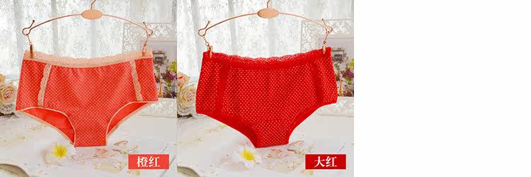 Slip jeunesse QIANLEE Q25022 en coton - Ref 644545 Image 15