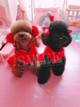 Amy YouYouA self-use insect repellent goods consultation shoot before you have questions please consult customer service Oh thank you