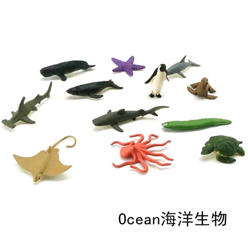 Simulation Animal Model Toys Marine Children Baby Early Lessons Wise Enlightenment's Kindergarten Teaching Aids Shark Whale Octopus