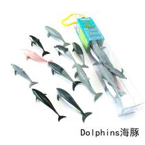 Simulation animal model toys all kinds of dolphin childrens baby puzzle early education Enlightenment kindergarten teaching aids tiger shark shark