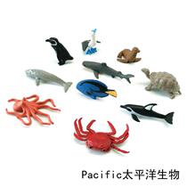 Simulation animal model toy Pacific childrens baby puzzle early education Montesori kindergarten teaching aids shark whale crab